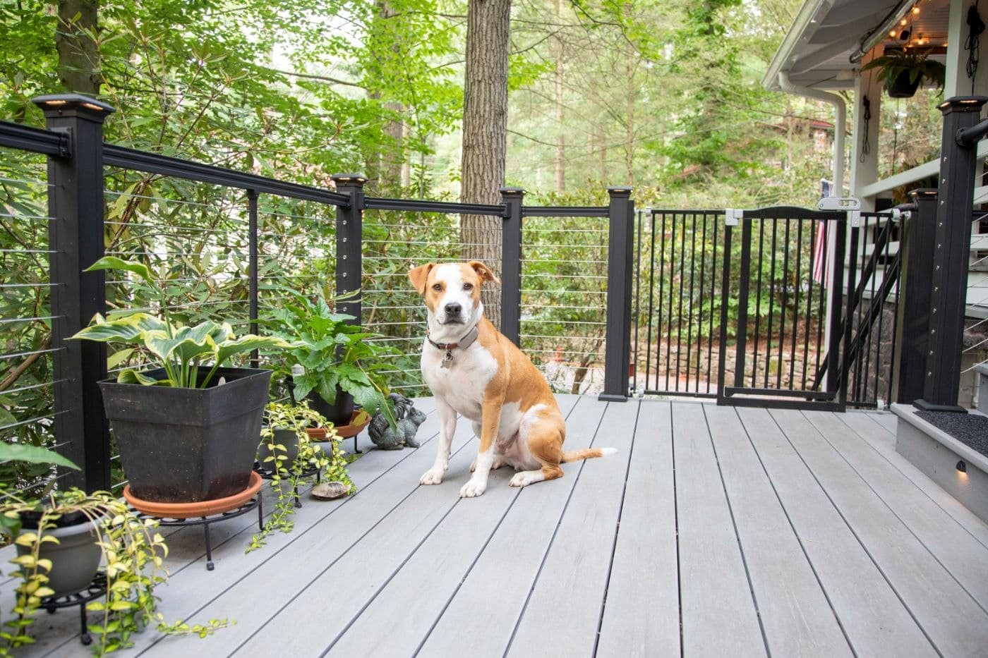 Decks vs. Patios: What to Consider - Heck Residential